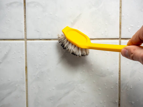 Best Fast Mold Removal  in Grandview Plaza, KS