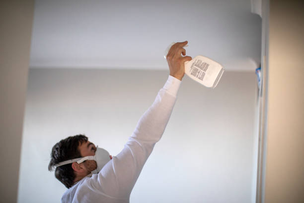 Best Emergency Mold Removal  in Grandview Plaza, KS