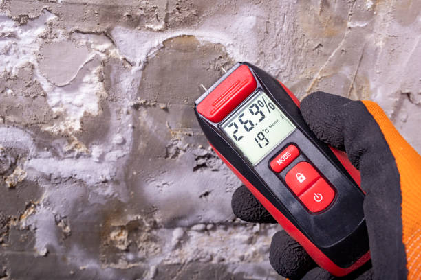 Best Mold Remediation Services  in Grandview Plaza, KS