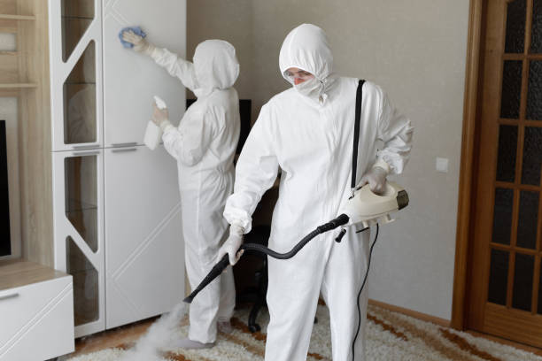 Mold Testing and Removal in Grandview Plaza, KS