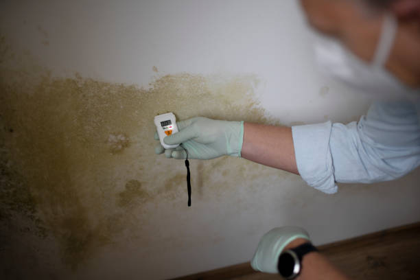 Water Damage Restoration in Grandview Plaza, KS