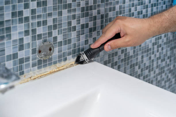 Best Toxic Mold Removal  in Grandview Plaza, KS